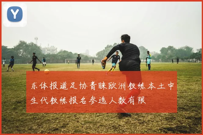 东体报道足协青睐欧洲教练本土中生代教练报名参选人数有限